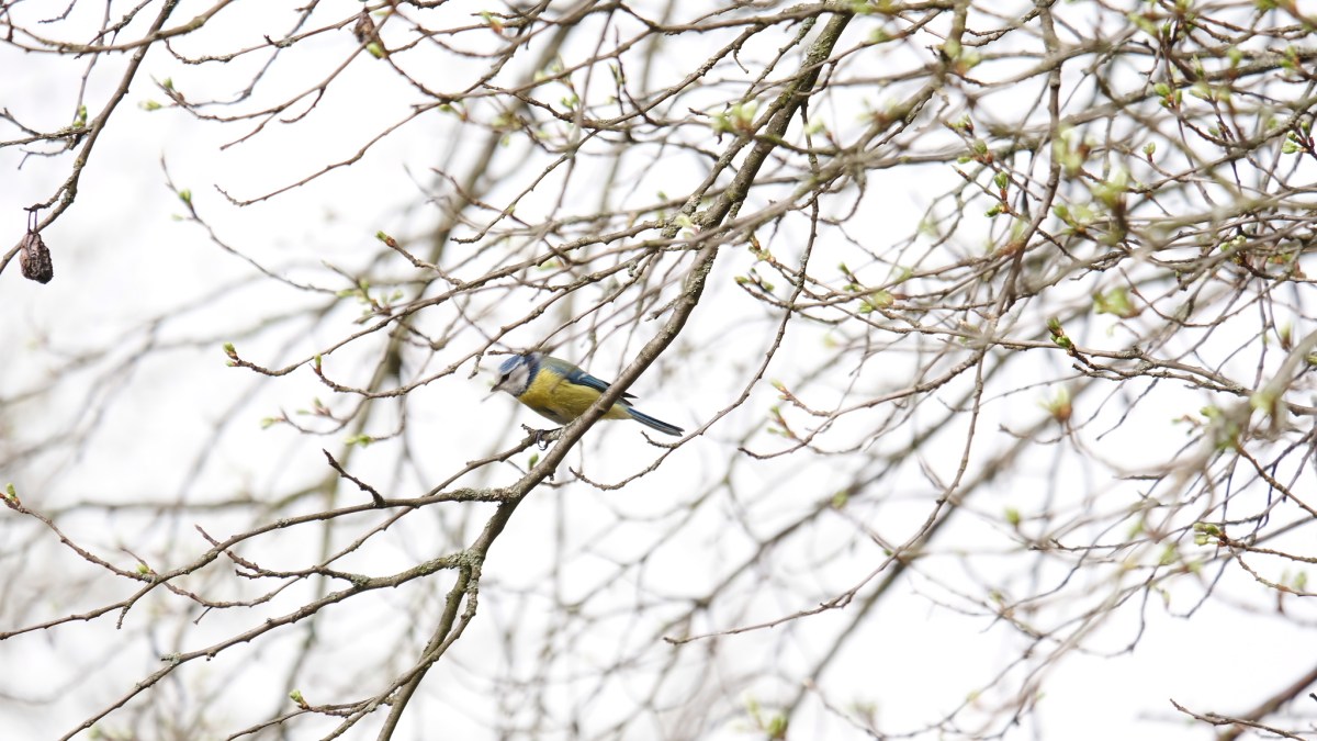 35. impuls – nur ich&nbsp;allein