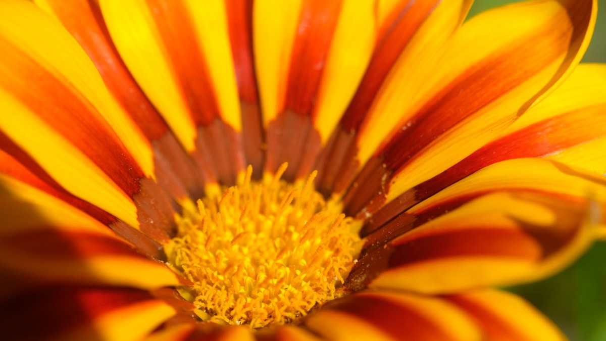 7. impuls – strahlen und&nbsp;schein